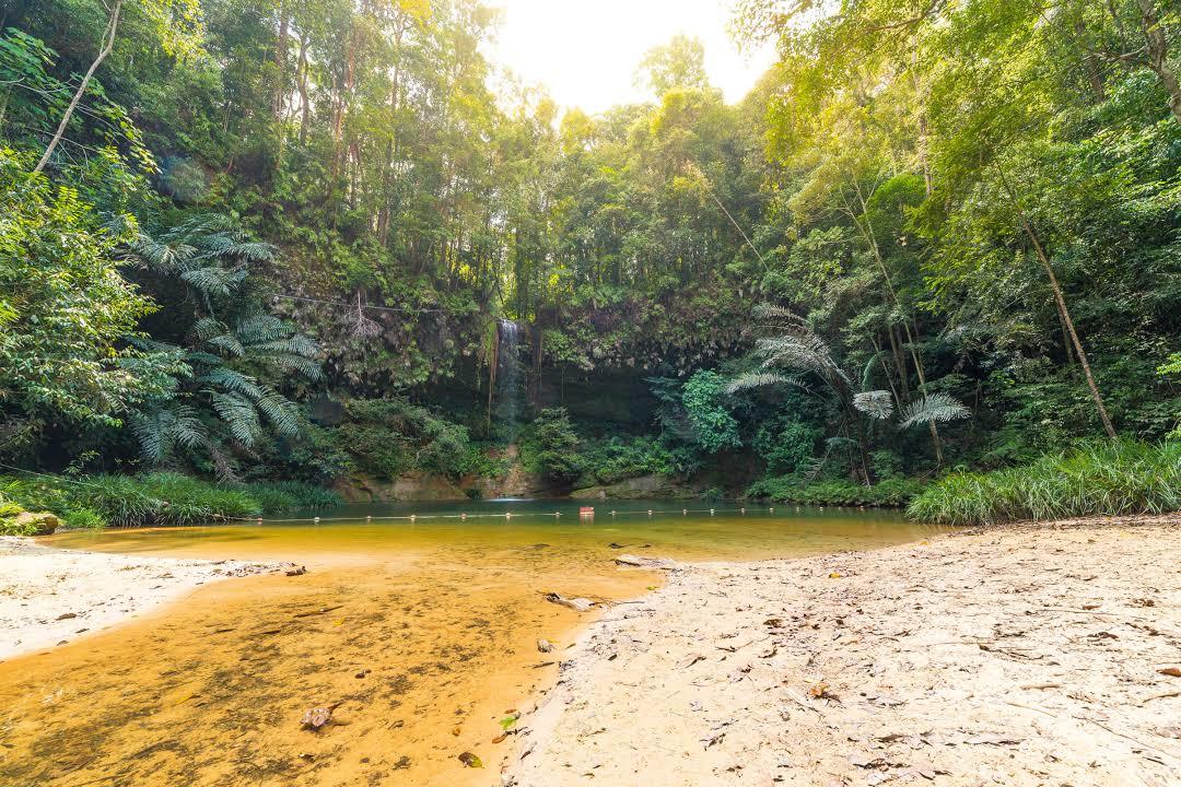 Lambir Hills National Park